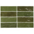 Keramische wandtegel | 6.5x20 cm | La Riviera Botanical Green