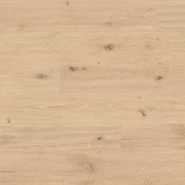 Tilestone Iconic Oak