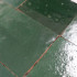 Handgemaakte Marrokaanse Zellige | 10x10 cm | Zellige Bottle Green