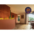 Paint | 18x20 cm | Wall & Ceiling - Impermo Paint - Burnt Orange