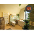 Paint | 18x20 cm | Wall & Ceiling - Impermo Paint - Classic Olive