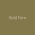 Staal | 18x21 cm | Impermo Paint Sticker - Bold Fern