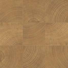 Keramisch parket | 10x10 cm | vtwonen Woodcirkle Walnutt