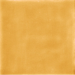 Keramische wandtegel | 11.6x11.6 cm | vtwonen Sweets Miele Glossy