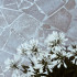Natuursteen tegel | 40x40 cm | Margaux Sand Flagstone