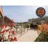 Natuursteen tegel | 40x40 cm | Margaux Sand Flagstone