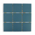 Mono Blue
