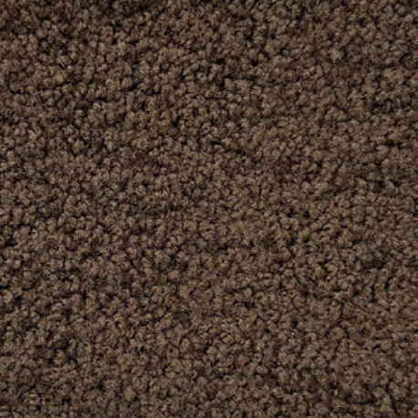 Accessories | 38.4x58.4 cm | Polyframe Brown