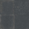 Keramische terrastegel | 59.5x59.5 cm | Belgian Bluestone Black