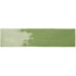 7.5x30 cm | Colors Olive Glossy