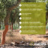 Kurkvloer met click systeem | 19.5x122.5 cm | Santana Eco Designwood Ocean